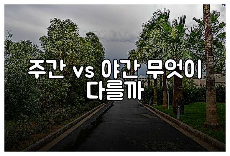 주간 vs 야간 무엇이 다를까