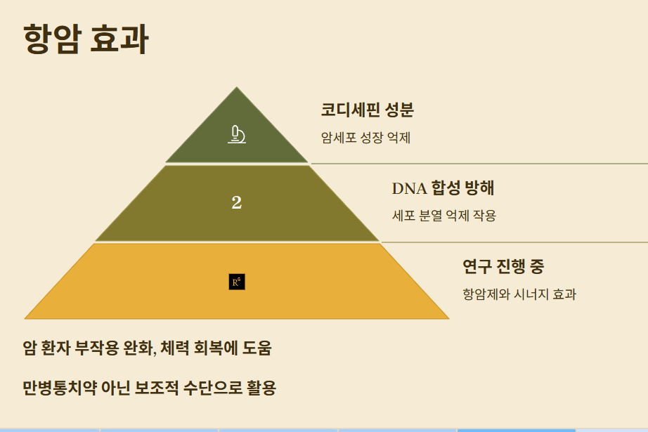 동충하초 효능과 먹는 방법, 부작용