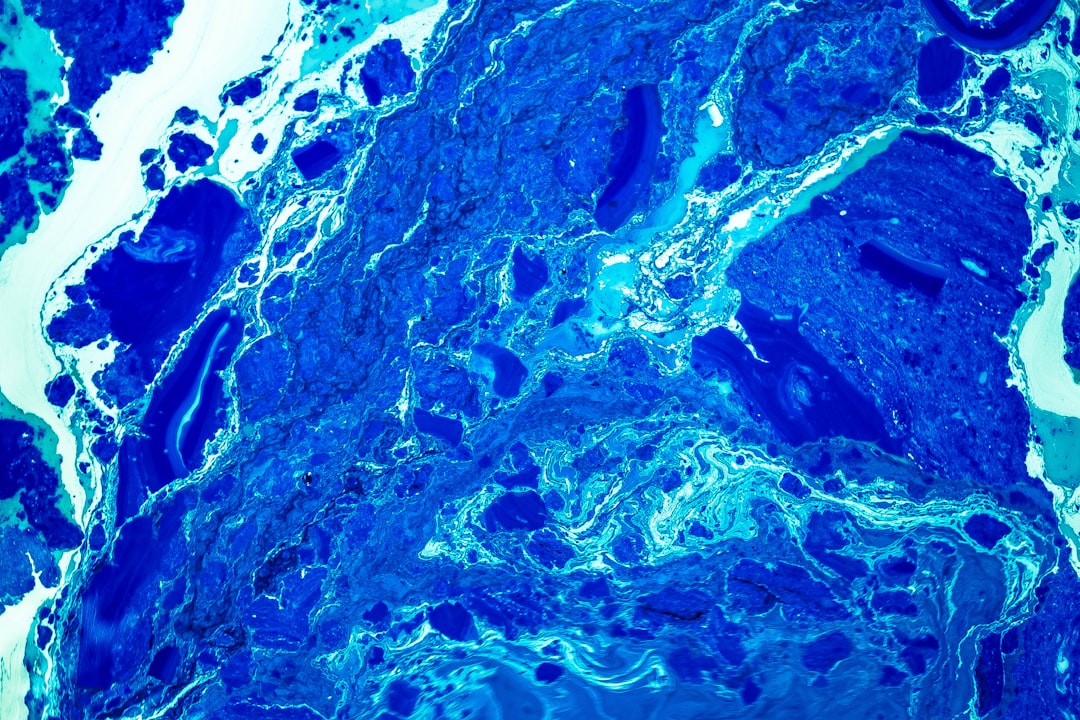 Cells