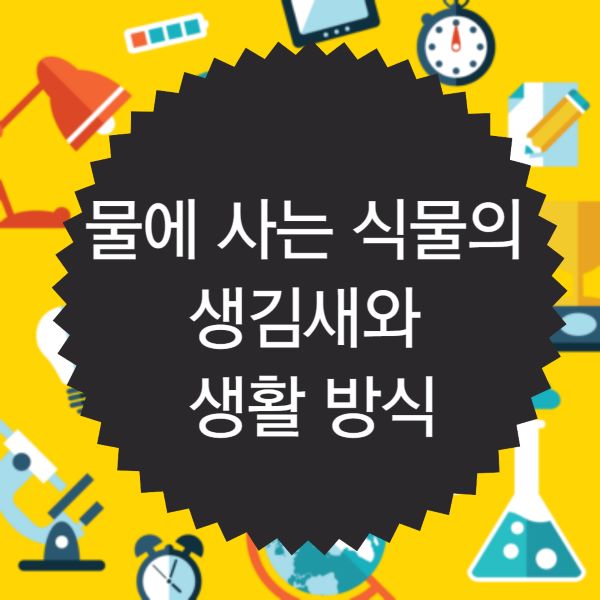 물에 사는 식물의 생김새와 생활 방식
