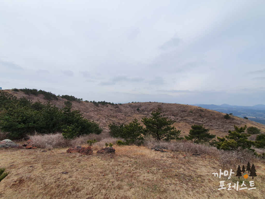 높은 오름 정상분화구