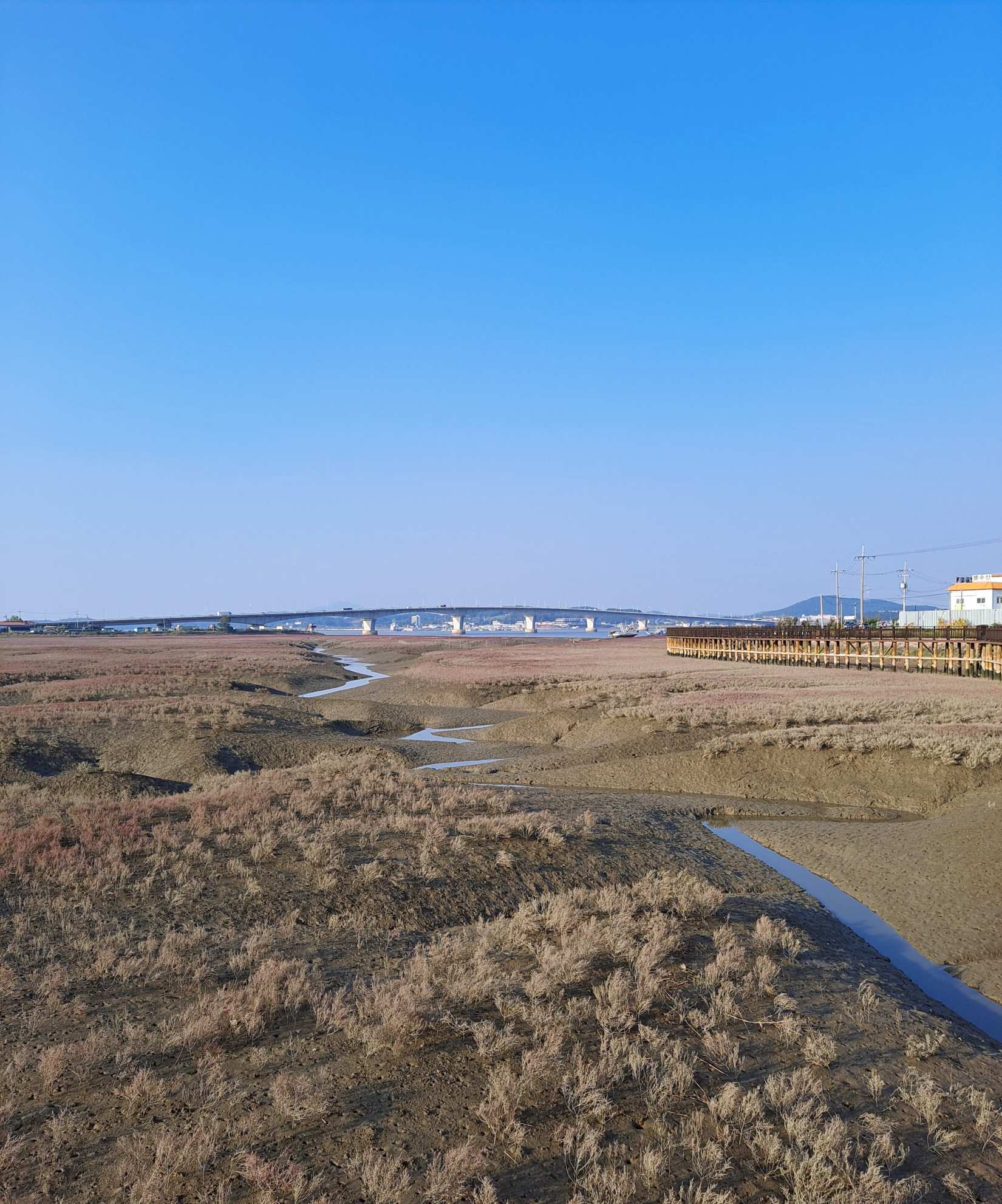 저 멀리 초지대교