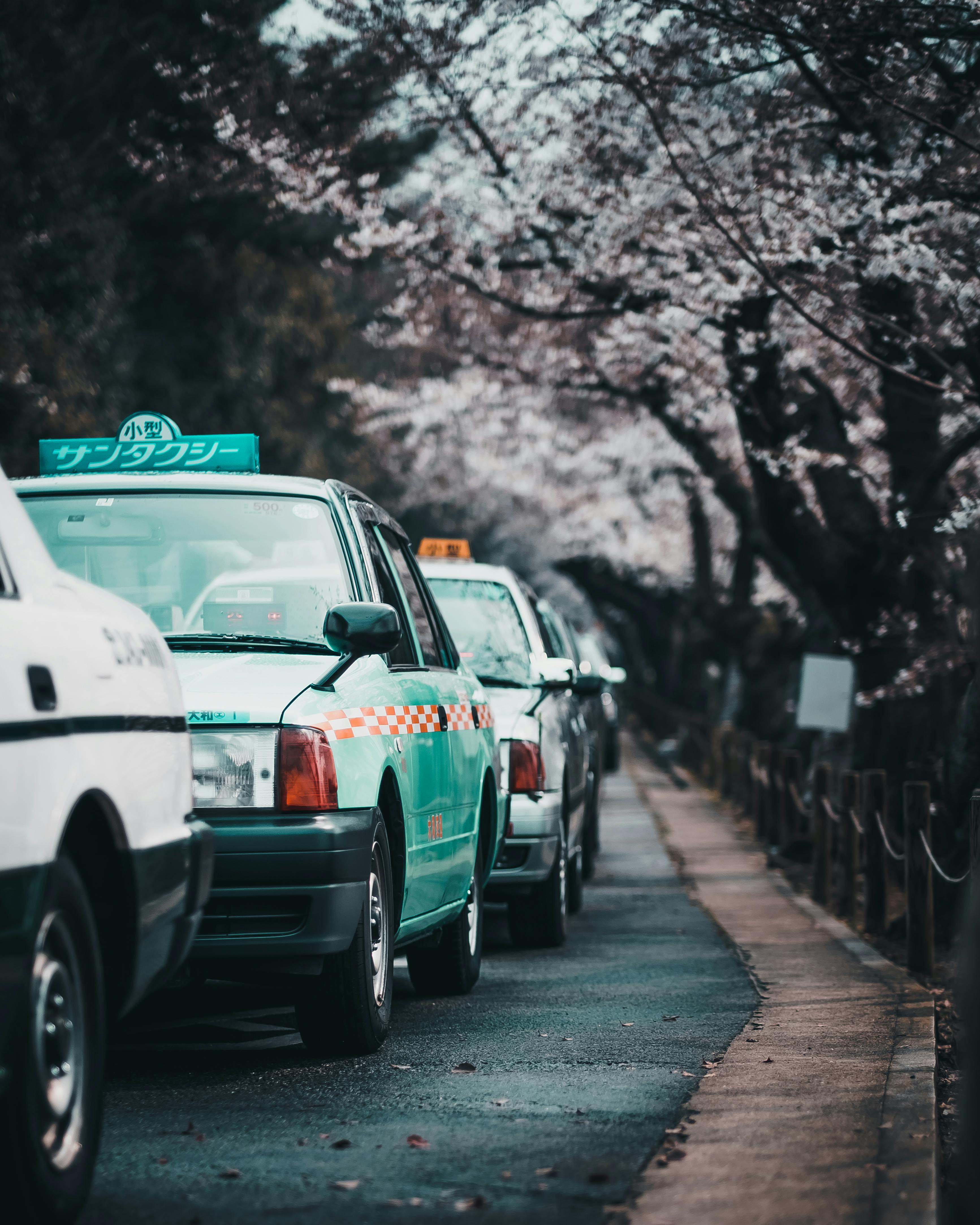 벚꽃 드라이브 코스 추천 BEST