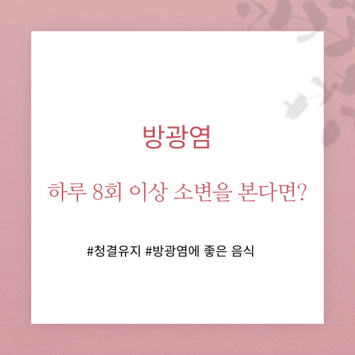 방광염