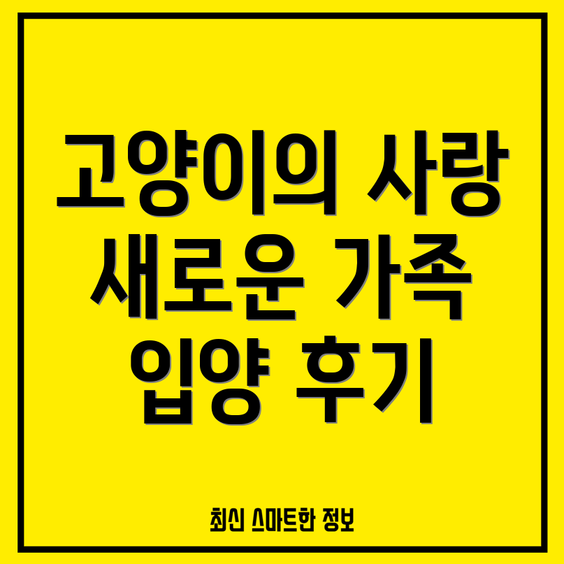 인천 고양이 보호소