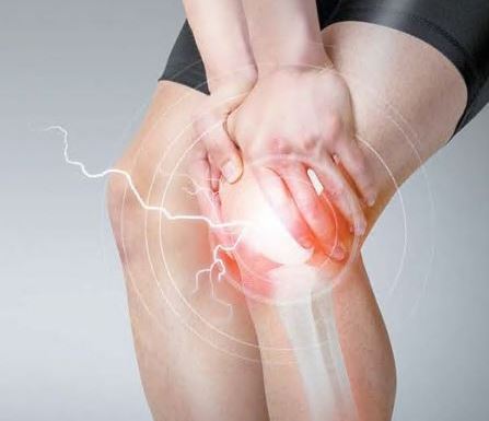 관절영양제-효과