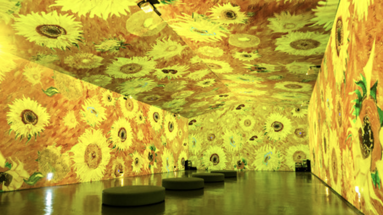 인피니티아트 빛의 산책