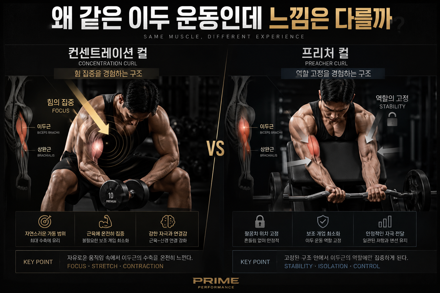 왜 같은 이두 운동인데 느낌은 다를까