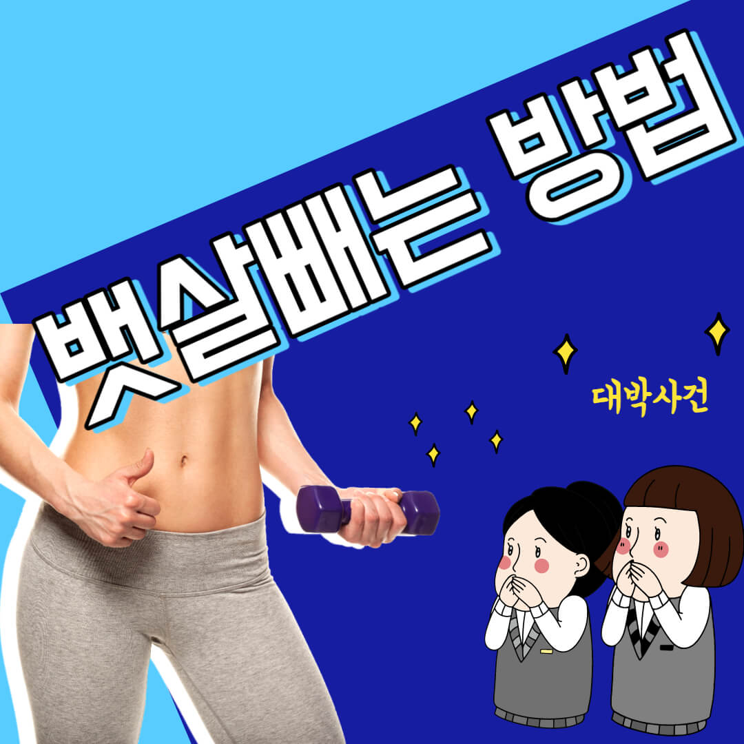 뱃살빼는 방법