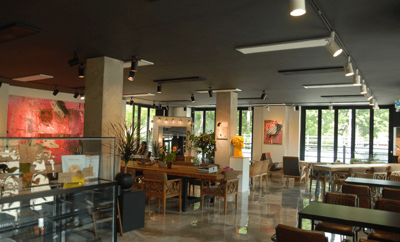 태백 해바라기축제