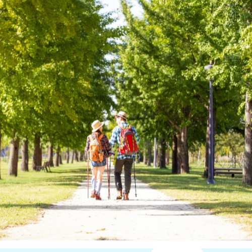 스위치온다이어트