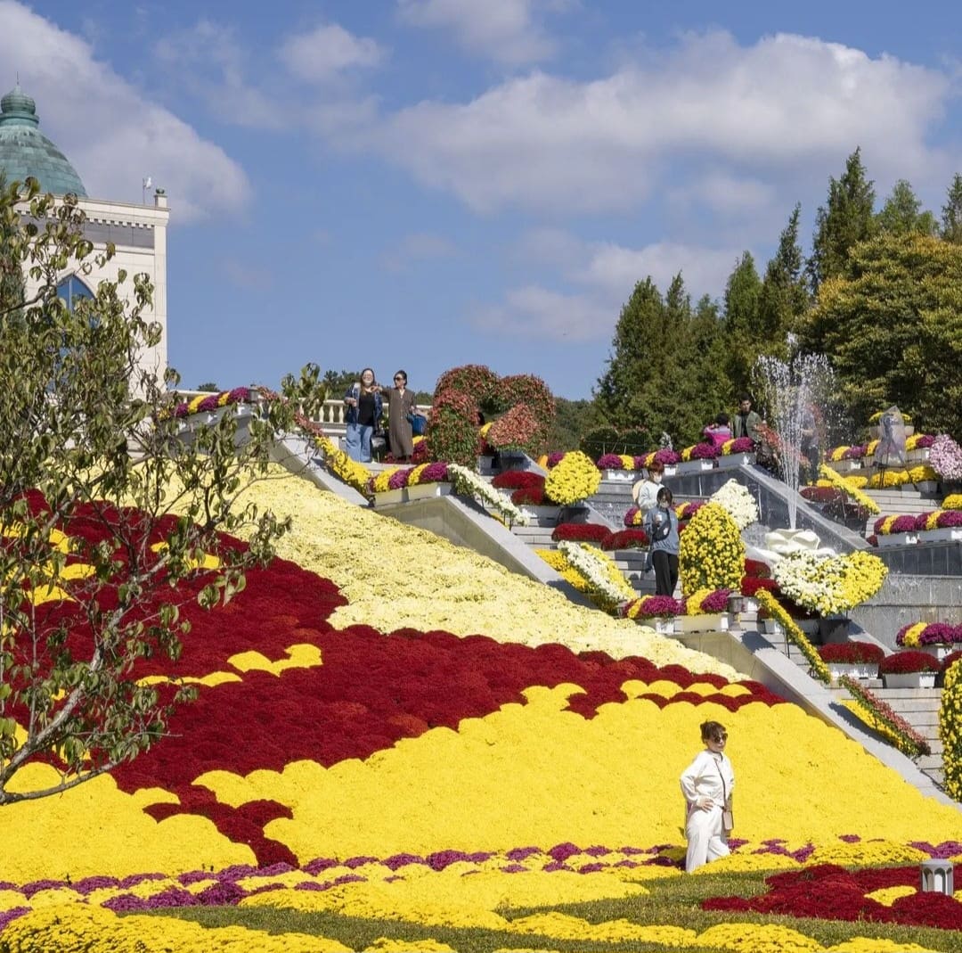 임실치즈축제 열차, 셔틀버스, 주차장 꿀팁
