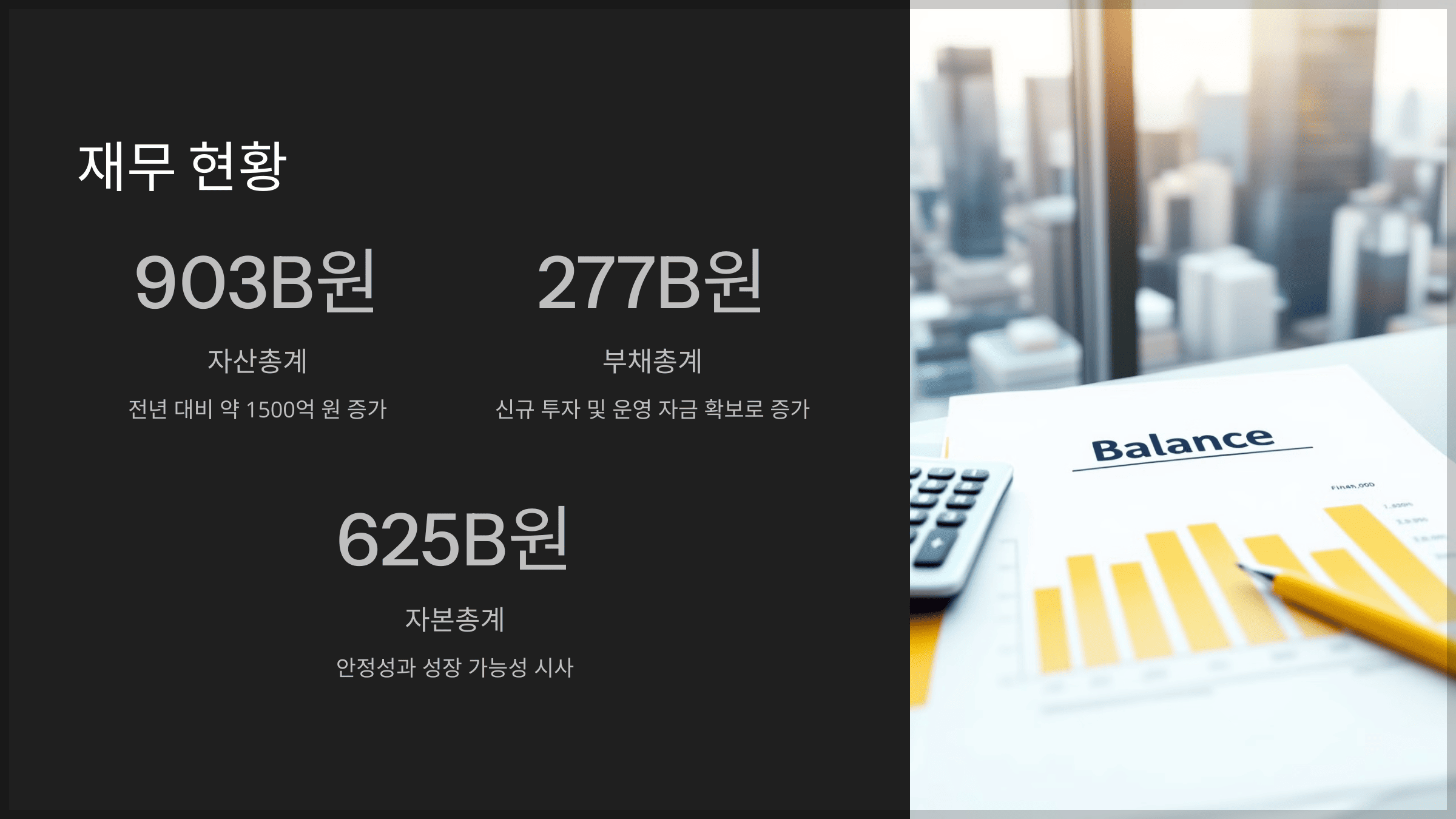 재무 현황