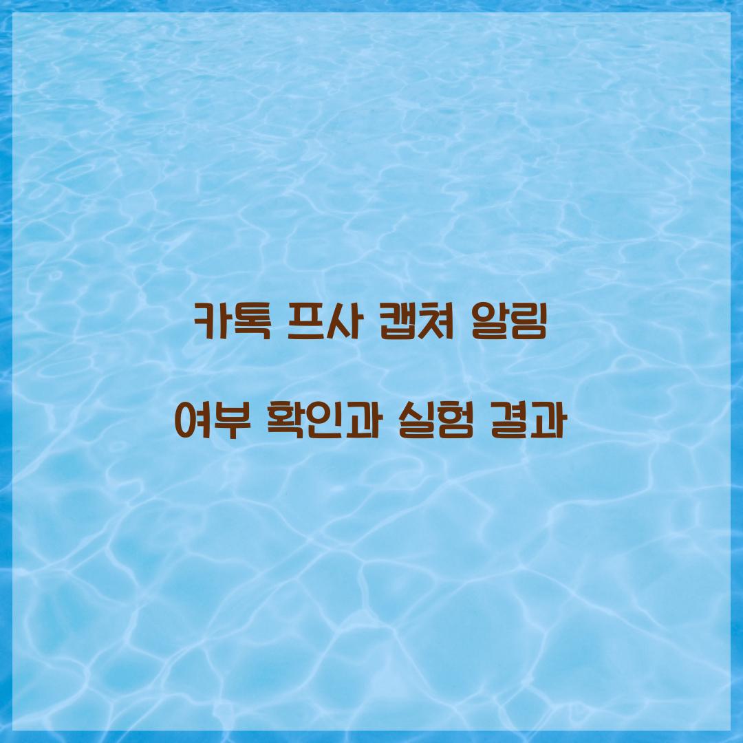 카톡 프사 캡쳐 알림