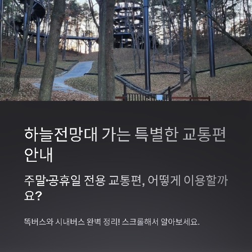 하늘전망대 가는 특별한 교통편 안내: 똑버스와 시내버스 완벽 정리