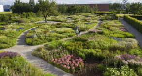 고양꽃박람회 입장료