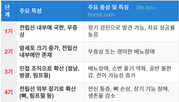 전립선암의 진행 단계와 구분