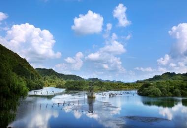 2025 고석정 꽃밭 입장료