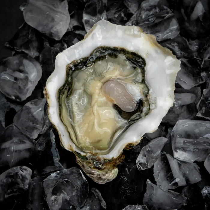 얼음-위에-올린-굴