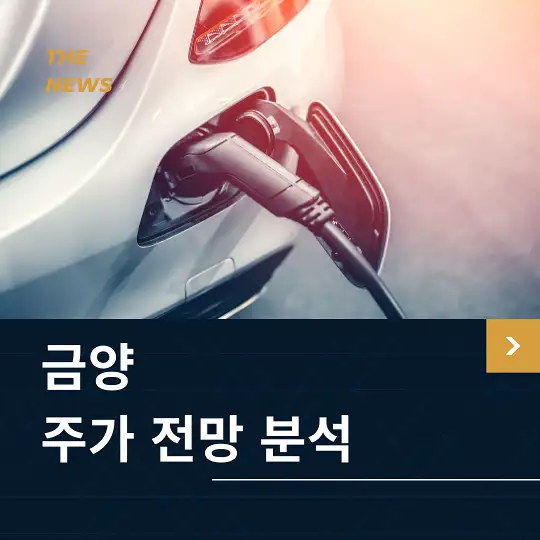 금양 주가 전망 및 분석