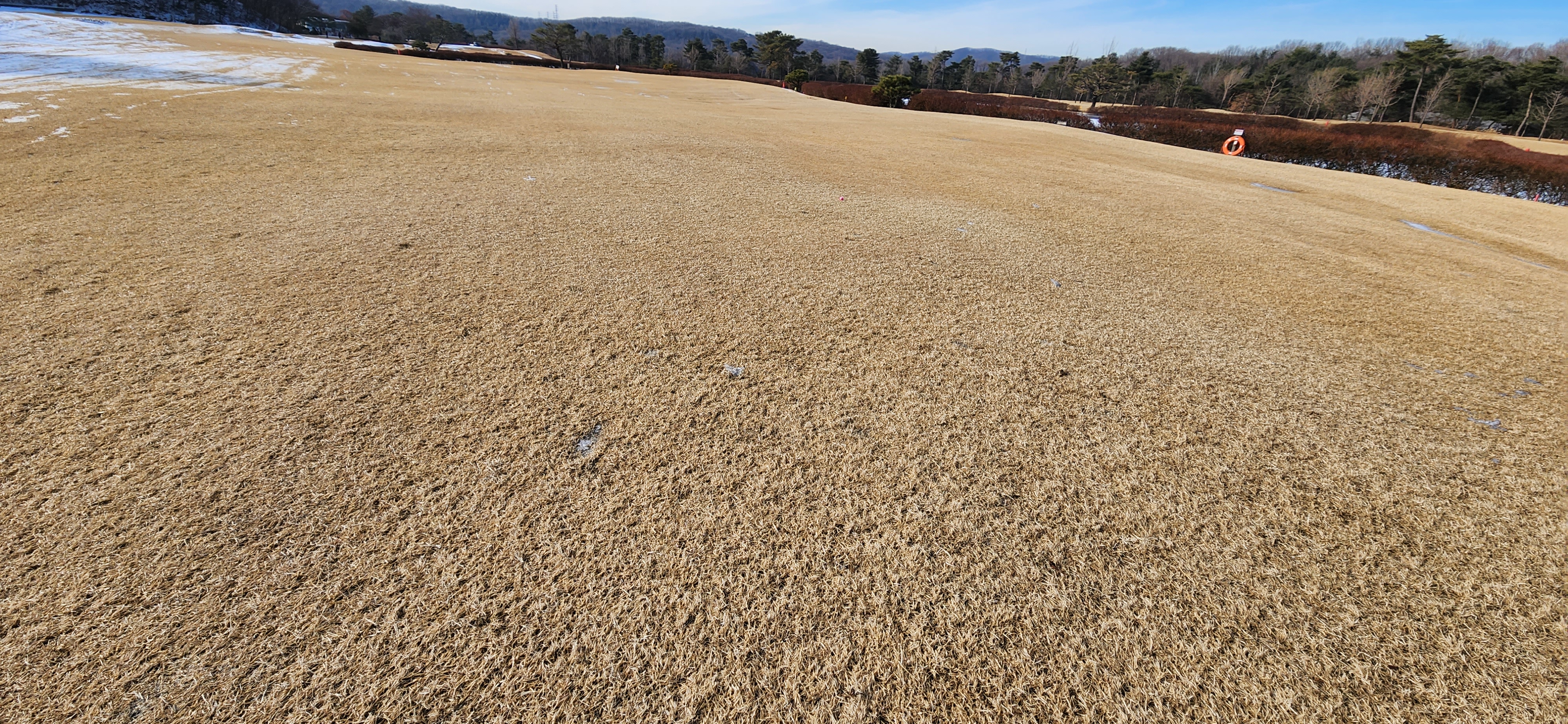 레이크사이드cc