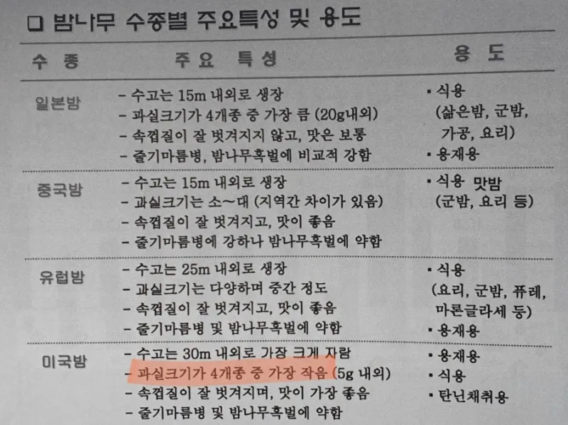 밤나무 재배 수분 수정 꽃가루 관리 해충 방제_8