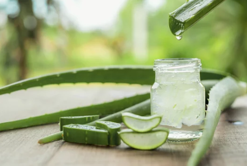 알로에 수딩젤 효능 / 사용법 / 바르는 순서 / 부작용