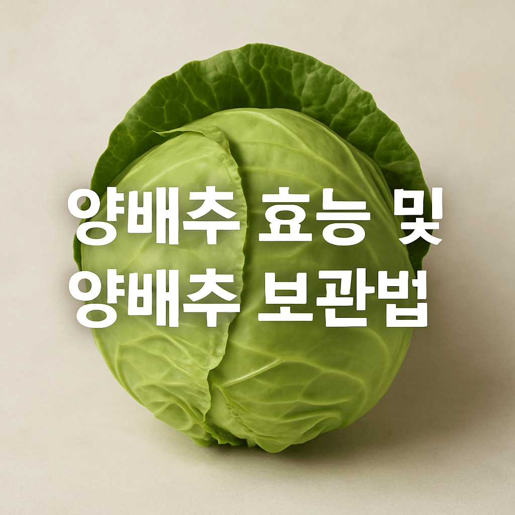 양배추 효능 및 보관방법