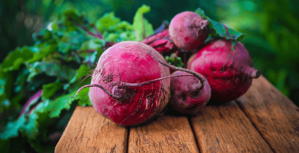 뇌에 좋은 음식 - 001