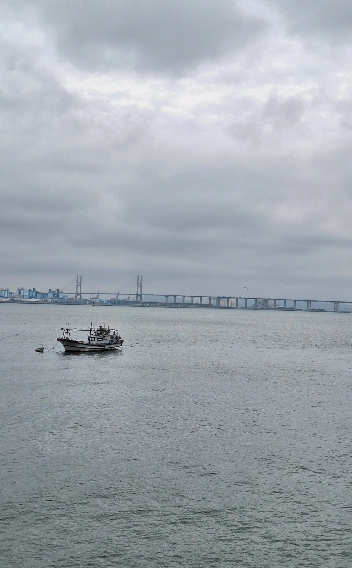 한진포구-전망대-서해대교-뷰