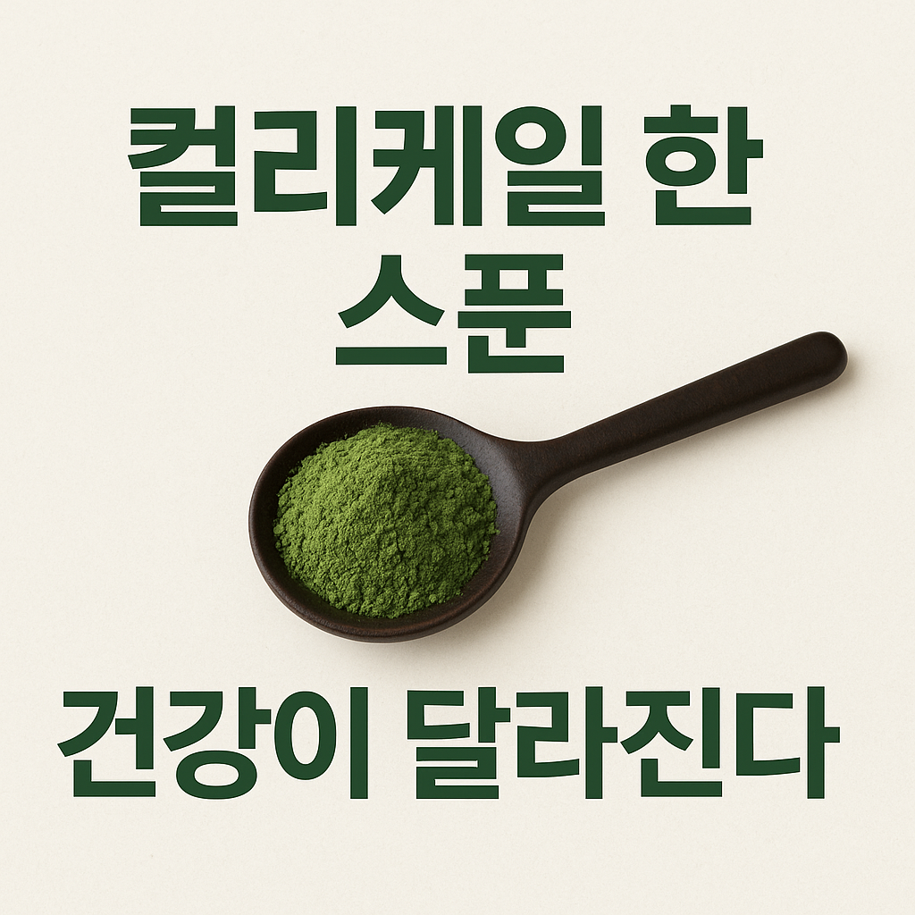 유기농 컬리케일 분말 추천