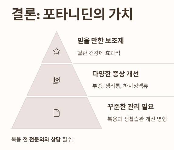 결론 : 포타니딘의 가치