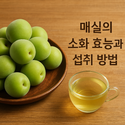 매실의 소화 효능과 섭취방법