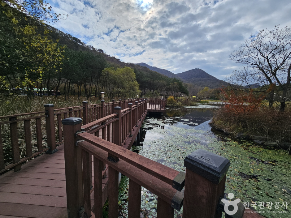 고창 가볼만한곳 베스트10