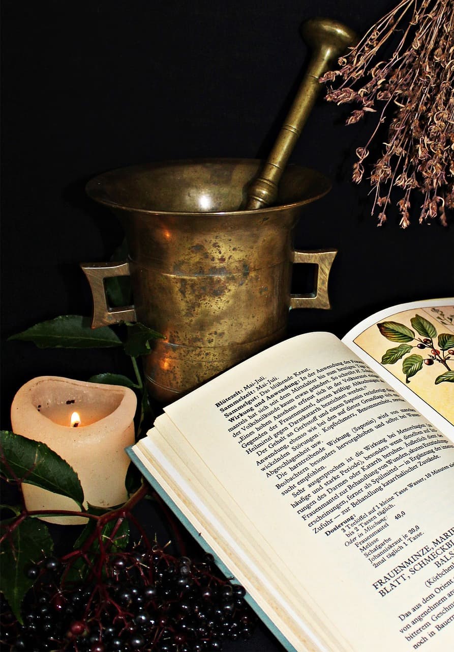 최초의 의학 문헌: 함무라비 법전, 에버스 파피루스, 황제내경