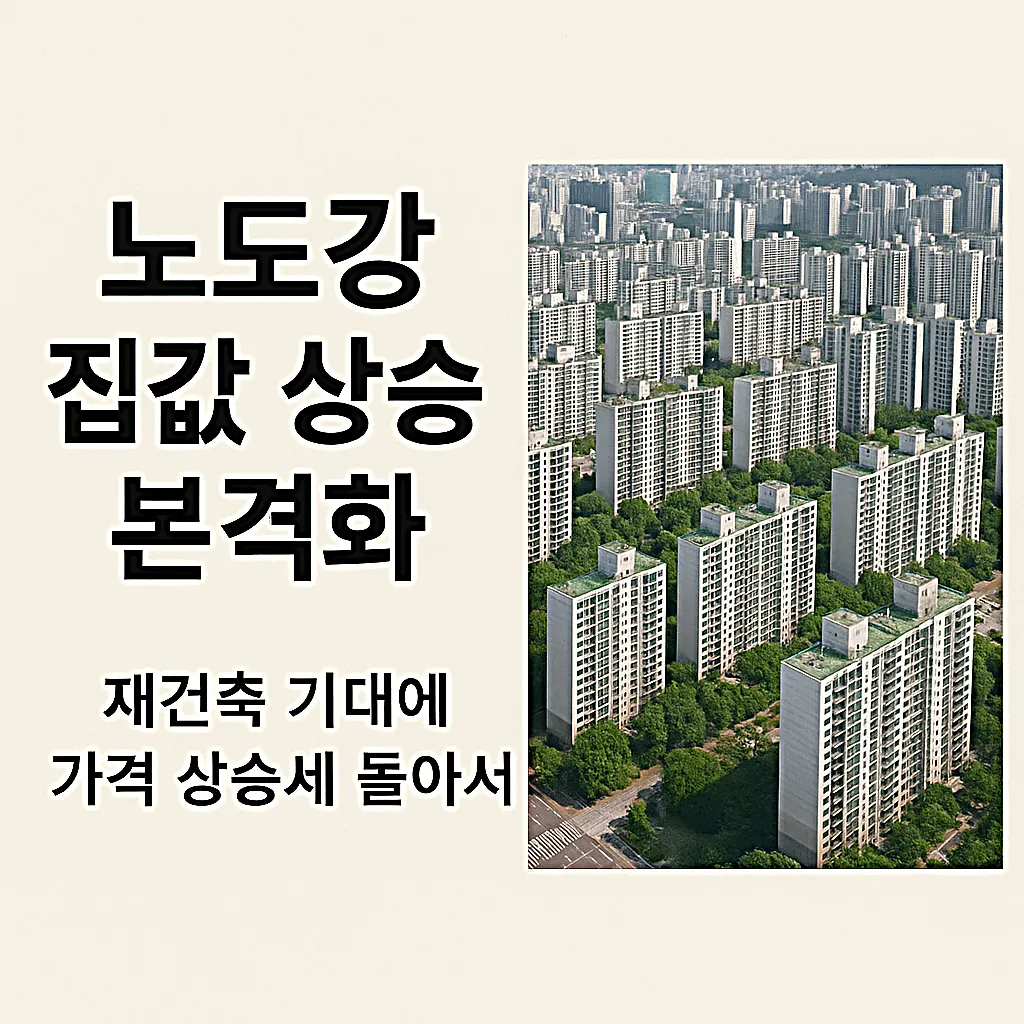2025 노도강 집값 반등|실거래가·재건축·투자 전략 총정리