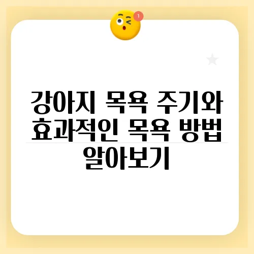 강아지 목욕 주기와 효과적인 목욕 방법 알아보기