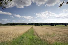 농지연금 가입조건