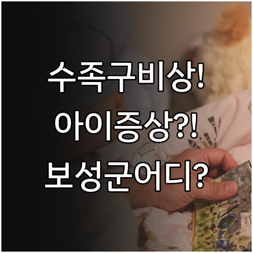 보성군 아이 수족구 증상, 어디로 가..