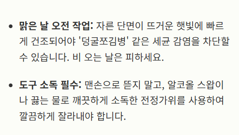 참외 순치기 방법