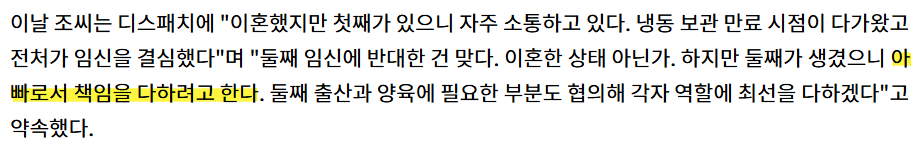 전남편 조승현이 디스패치 인터뷰에서 이혼 후 첫째 양육 때문에 자주 소통 중이며 둘째 임신에는 반대했지만 아빠로서 책임을 다하겠다고 밝히고, 출산과 양육도 협의해 최선을 다하겠다고 한 내용이 담긴 기사 캡처 화면