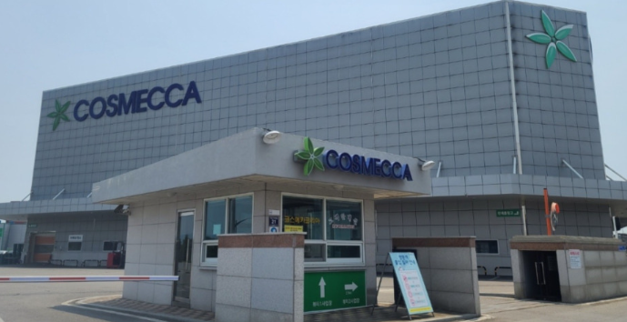 2025년 하반기 코스메카코리아 투자 전략