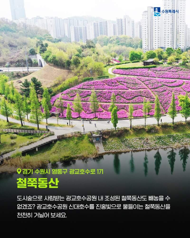 철쭉동산