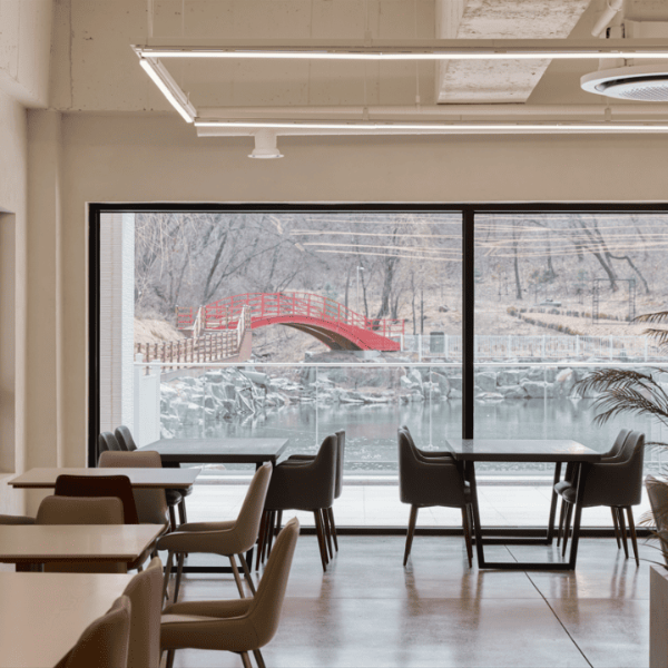 용인 자작나무숲