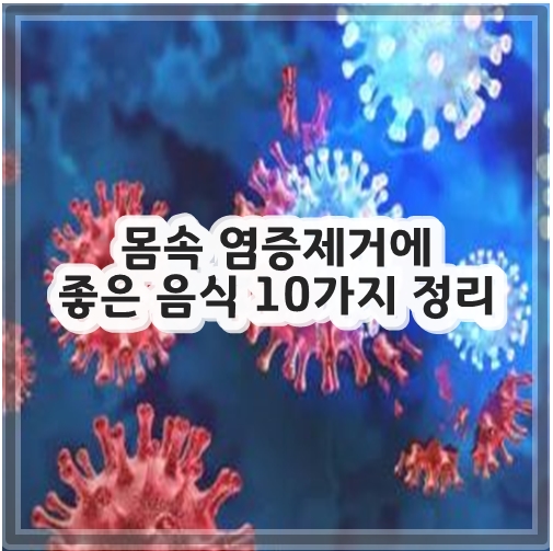 몸속 염증제거에 좋은 음식 10가지 정리