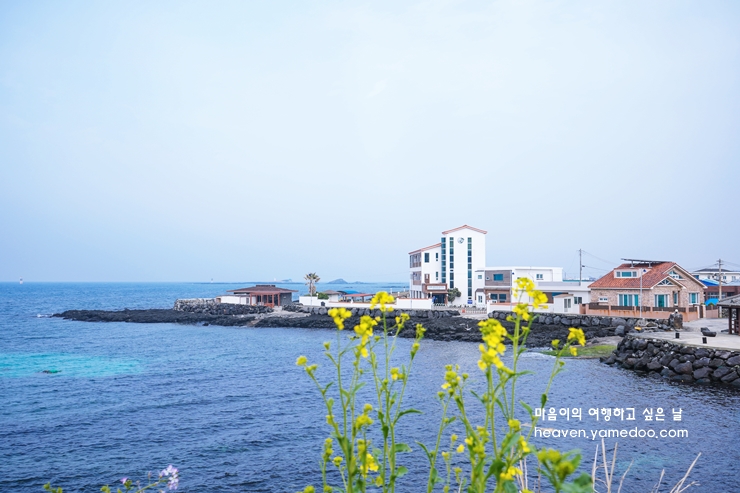 제주도 가볼만한곳 10곳