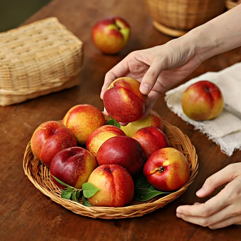 복숭아 보관방법과 싱싱하게 유지하는 팁_7