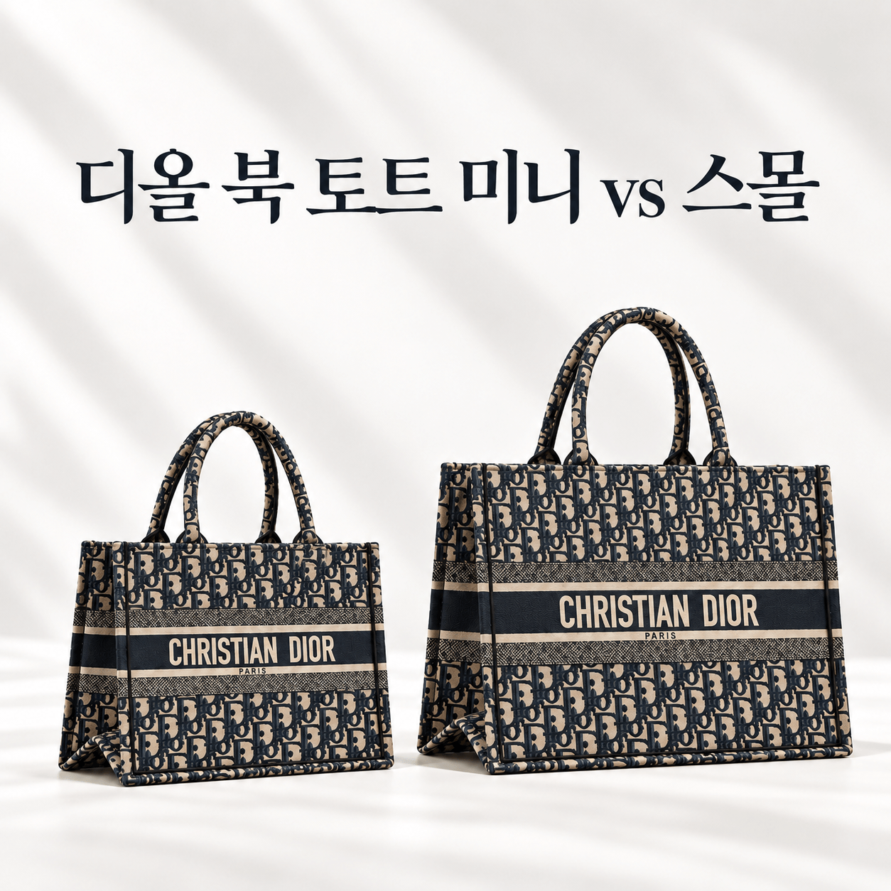 디올 북 토트 미니 vs 스몰 비교