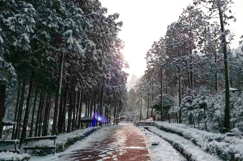 전남 겨울 명소 추천, 자연&middot;설경&middot;섬&middot;트레킹 BEST 4