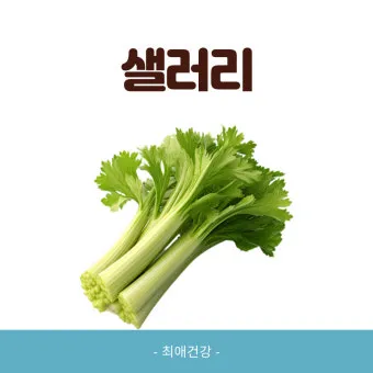 샐러리 효능 알고 먹는법 잎 생으로 손질법 요리_20